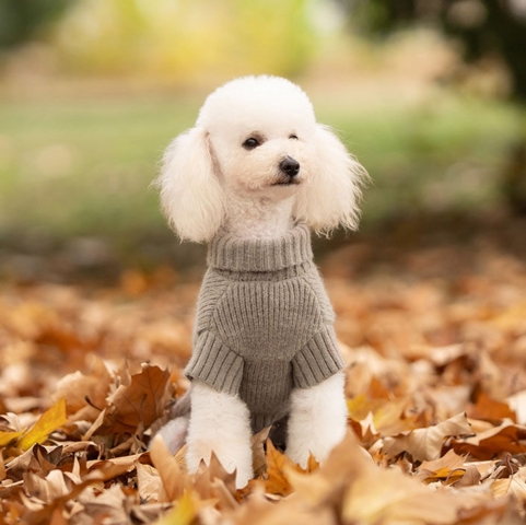 Ollipet hundesweater i blødt og varmt angorastrik | Khaki