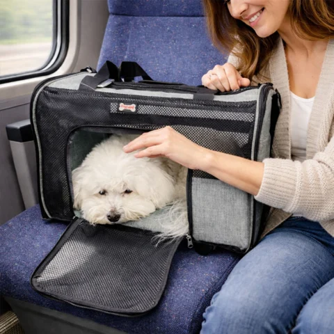 DogLemi Rejsetaske - her på togtur