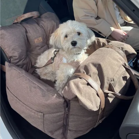 Alba i sin flotte autostol i Mokka