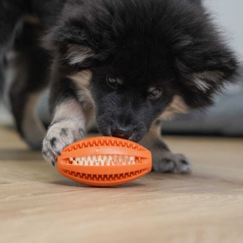 Sjovt og aktiverende legetøj, der samtidig renser tænderne