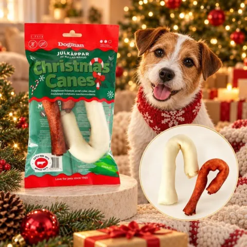 Dogman Christmas Canes med rullet råhud – festlige tyggestænger til hunde formet som julestokke i to forskellige farver.