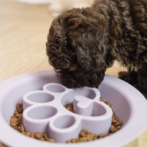 Også god til hvalpe