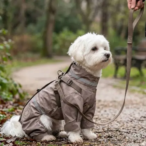 Praktisk hunderegndragt i mokka farve