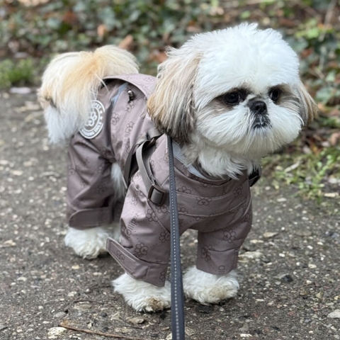 En lækker regndragt fra Ollipet der holder din hund tør på regnfulde dage.