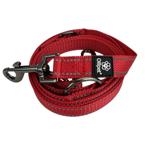 Ollipet Arctic Explorer | Refleks Dressurline