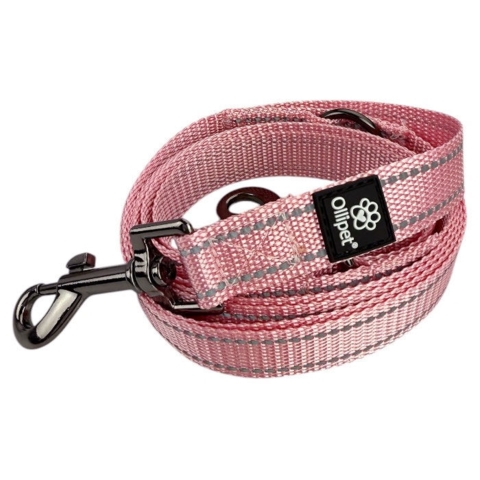 Ollipet Arctic Explorer | Refleks Dressurline