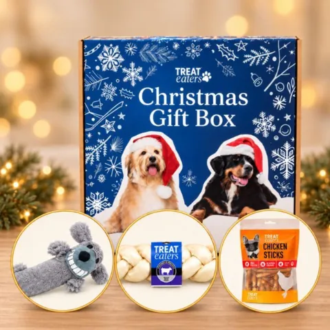 Treat Eaters Christmas Gift Box til hund med julebamse, flettet tyggeben og Chicken Sticks – en hyggelig julegave til hunden