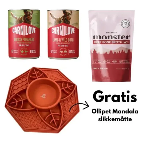 Lækre hundesnacks og en gratis Ollipet Mandala slikkemåtte. Perfekt til mental stimulering af hunden.