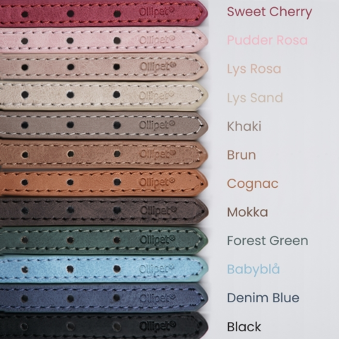 Ollipet Luxor Halsbånd | Fåes i 12 forskellige farver. Her ses de alle ved siden af hinanden