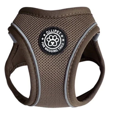 Ollipet For Wagging Tails | Mokka