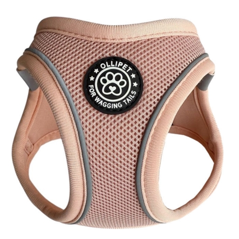 Ollipet For Wagging Tails | Step in Sele