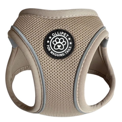 Ollipet For Wagging Tails | Step in Sele