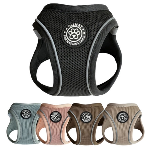 Ollipet For Wagging Tails | Step in Sele