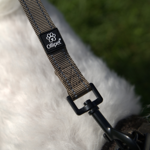 Ollipet For Wagging Tails Hundesnor detaljer