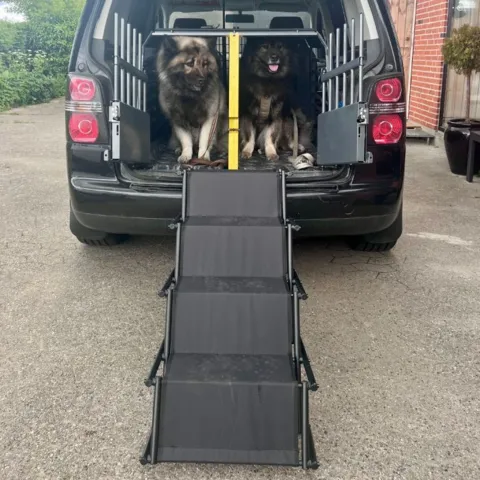 Med en foldbar hundetrappe kan hunden nemt komme ind og ud af bilen