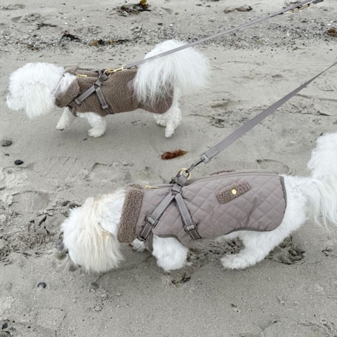 Ollipet Aarhus Hundejakke
