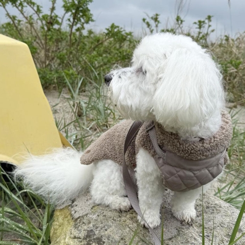 Ollipet Aarhus Hundejakke | Teddy med quiltet bryst i str. XL til 6 kg hund