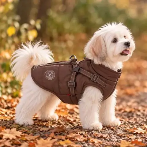 Arctic Explorer hundejakke og matchende dressurline i fine farver.