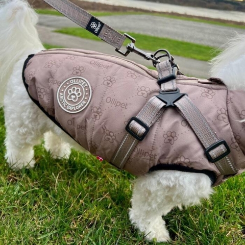 Sæt med Khaki snor og Mocca Paw dækken