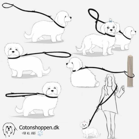 Dressurlinen fungerer som en smart justerbar hundesnor og kan bruges på alverdens smarte måder