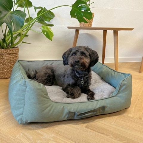 Ollipet Comfort Hundeseng er en flot klassisk hundeseng som passer ind i hvert et hjem. Str 60 cm