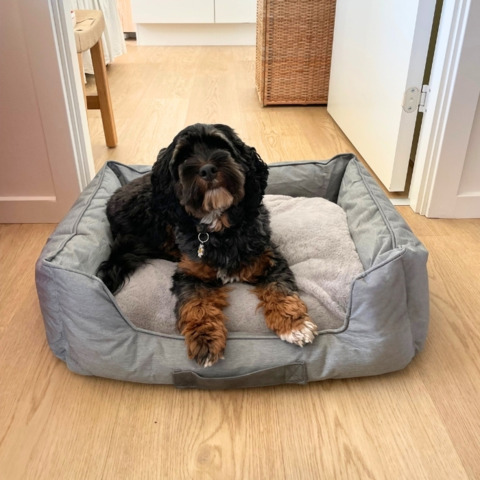 Ollipet Comfort Hundeseng er en flot klassisk hundeseng som passer ind i hvert et hjem