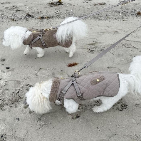 Dressurline og hundejakke i flot stilfuldt design og med reflekser.