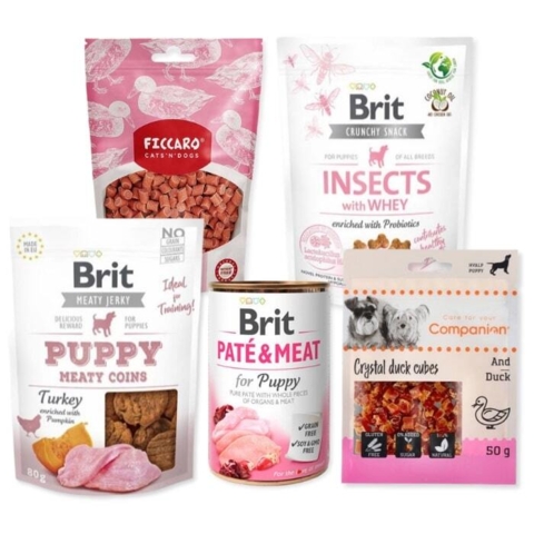 5 forskellige slags godbidder som din hvalp helt sikkert vil elske.