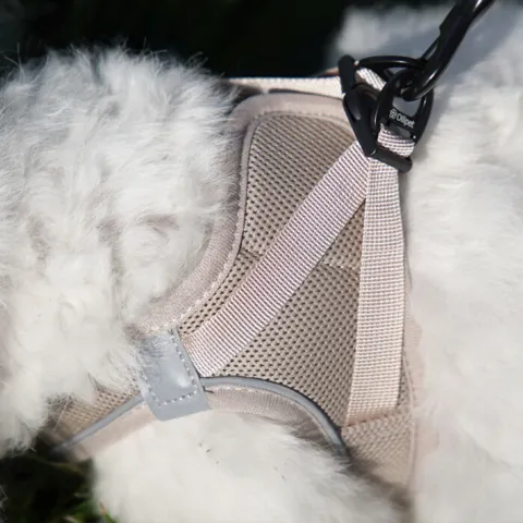 Ollipet For Wagging Tails | Step in Sele - Bemærk denne sele har en anden farve end den lyserøde