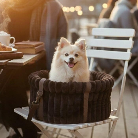 Tag din lille hund med ud i Ollipet Bella Bloom 3i1 Carrier