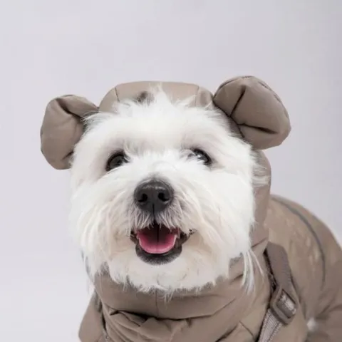 Søde ører på dragtens hue