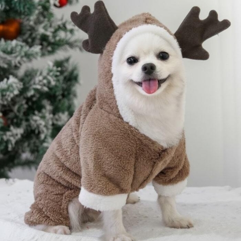 Med Ollipet Rensdyr dragt kan din hund sprede juleglæde og hygge