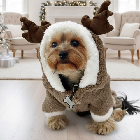 Klæd din lille hund ud som et sødt rensdyr