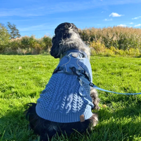 Hundesweateren matcher fint med de andre produkter i Ollipet for Wagging Tails Serien