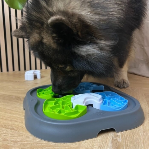 Lad hunden forsøge at finde frem til alle godbidderne