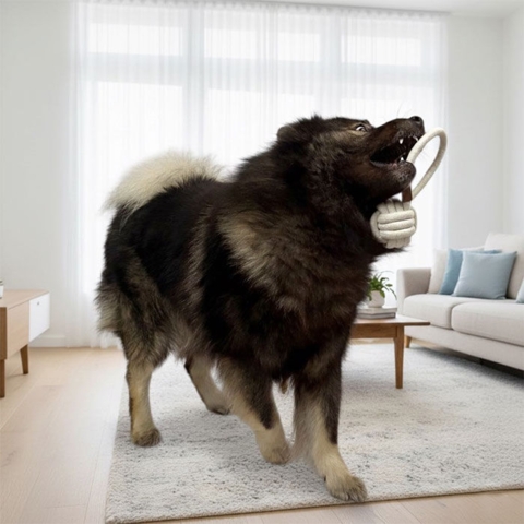 Pawise Premium Kraftig Rebbold | m. håndtag