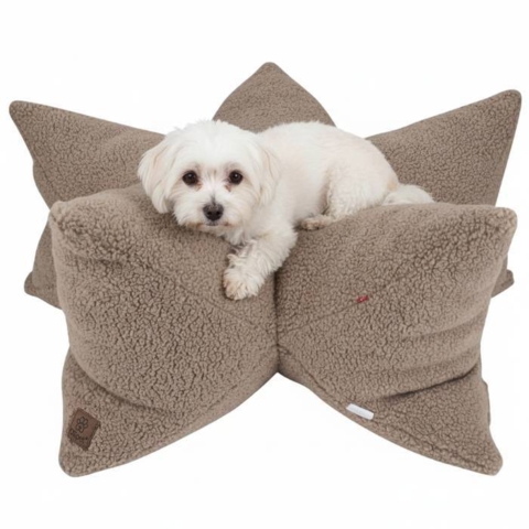 Boluldshund i Ollipet StarNest Teddy Hundeseng