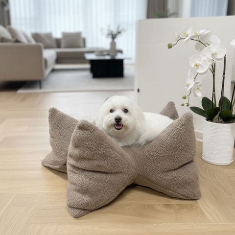 Bomuldshund i Ollipet StarNest Teddy Hundeseng