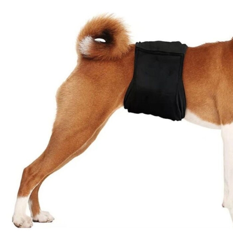 Nem og komfortabel at bruge – Pawise Gentleman Wrap sidder sikkert og giver din hund fuld bevægelsesfrihed