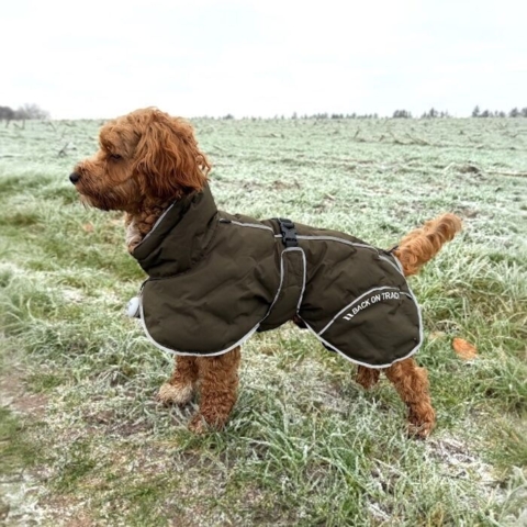 Back on track BAY vinterdækken til hunde - Super god pasform