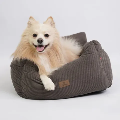 Vincent i en str. small