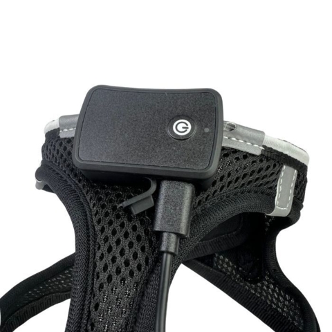 Gør din hund synlig med LED og refleks i ét smart design