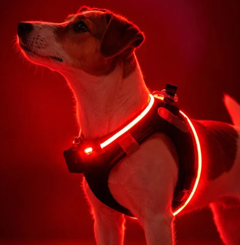 Step-in hundesele med LED-lys – nem at give på og lyser effektivt i mørke
