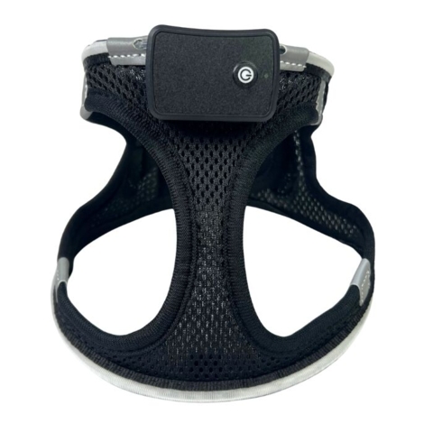 Sort mesh-sele med åndbar komfort og god pasform