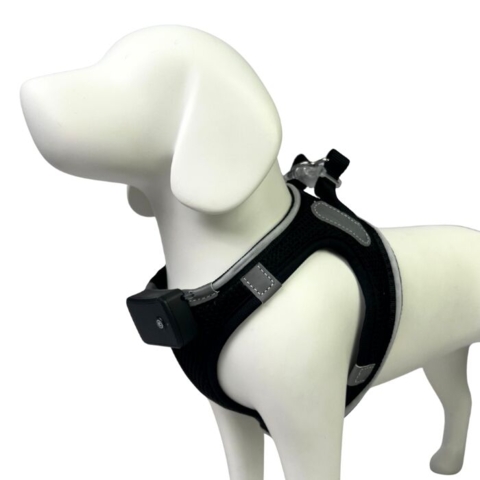 Ergonomisk step-in hundesele – skånsom for både hund og ejer