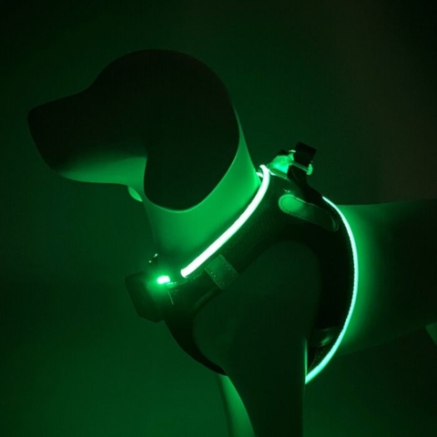 Hundesele med step-in funktion og lys