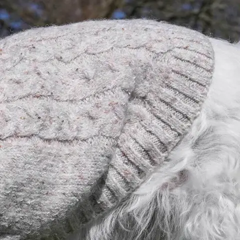 Ollipet Camel Sweater