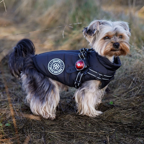 Ollipet Arctic Explorer | hundejakke m. fleecefór og god pasform