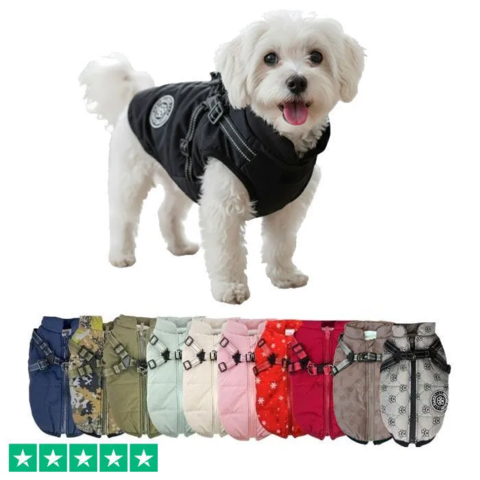 Ollipet Arctic Explorer | Model 1.0