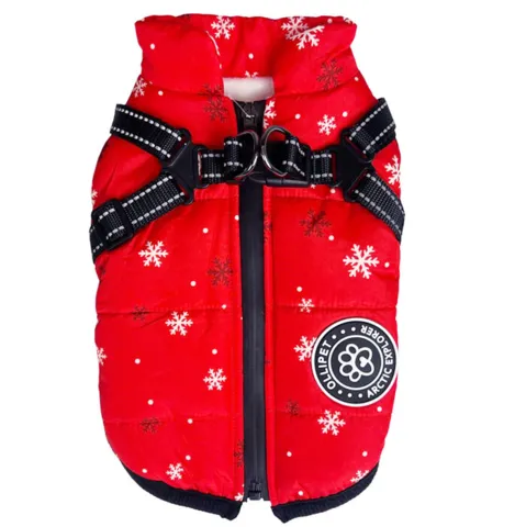 Ollipet Arctic Explorer | Model 1.0